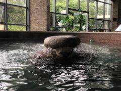 -苏州环秀晓筑养生度假村