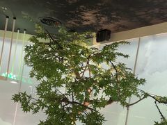 -绿茶餐厅(广州天河城店)