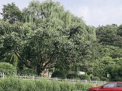 -蓟州溶洞风景区