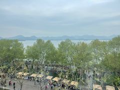 -杭州君悦酒店