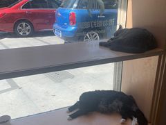 -Pets First伊珊娜洗护·精致美容·家庭式寄养(新会路店)