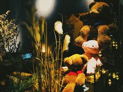 -咖法森林·咖啡  酒吧(天河店)