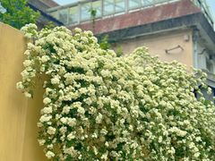 -颐和路民国时期公馆风貌区