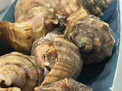 -威海渔村(静安旗舰店)