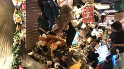 -Hamleys哈姆雷斯(东方福来德店)