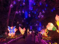 -广西壮族自治区药用植物园