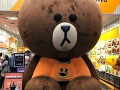 -line friends(明洞旗舰店)