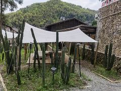 -MOJ coffee(瓯海泽雅水碓坑店)