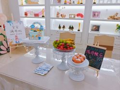 -维倪月子会所(独栋庭院·南海店)