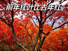 -周口店坡峰岭风景区