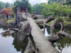 -四明山国家森林公园