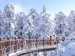 -瓦屋山景区