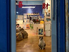 -琥珀川咖啡馆·Amber cafe(百祥路店)