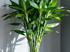 -闪电修企业手机电脑回收(西湖风景名胜区店)