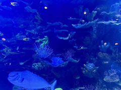 -欢乐海岸海洋奇梦馆