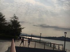 -深圳湾公园(南山区)