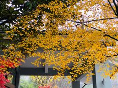 -天目湖御水温泉·度假酒店