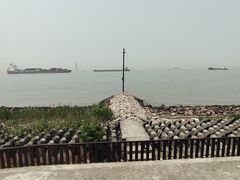 -上海滨江森林公园