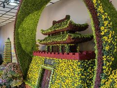 -杭州植物园