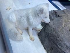 -海合安青岛极地海洋公园