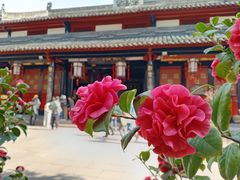-成都市文殊院