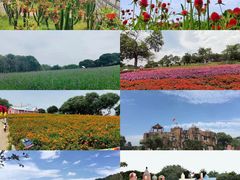 -松山湖梦幻百花洲