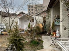 -Jo's Garden