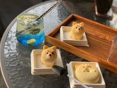 -柴犬高等学院·狗咖·柴犬售卖·宠物训练