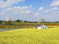 -光明小镇欢乐田园
