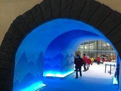 -世界之窗阿尔卑斯冰雪世界