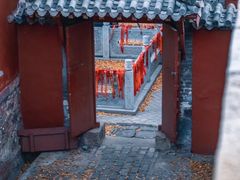 -泰山风景名胜区-普照寺