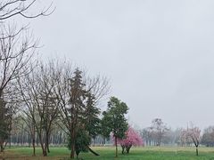 -汉长安城未央宫国家考古遗址公园