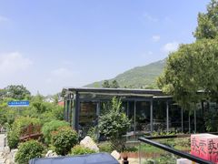 -蘇河湾·新鲁菜·泰山宴(泰山店)