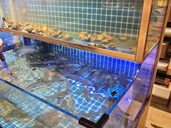 -鲁商铂尔曼大酒店·铂丽自助餐厅