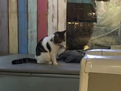 -小时光咖啡馆(开森度假森林店)
