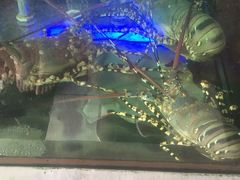 -旅南活海鲜-屏东(墾丁海鮮，海鮮餐廳，墾丁團體合菜，平價熱炒，墾丁熱炒店，活海鮮推薦，在地海鮮餐廳)