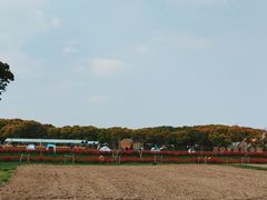 -嘉北郊野公园