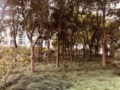 -上海证券交易所(上海证券大厦北塔店)