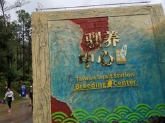 -广东惠东海龟国家级自然保护区