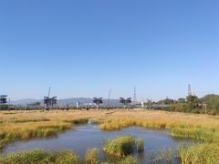 -卢沟桥文化旅游区(卢沟桥)