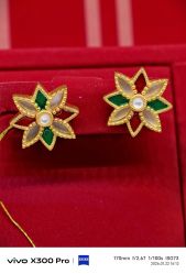 -中国黄金(北京旗舰店)