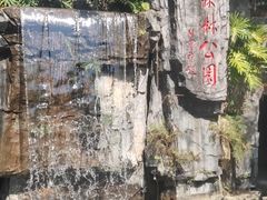 -广州市流溪河国家森林公园