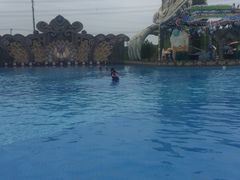 -苏州乐园森林水世界