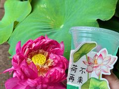 -花之城
