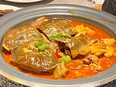 甲鱼炒小公鸡-醉庐·新上海菜(南京西路店)