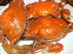 -赶海部落海鲜城(海阳路店)