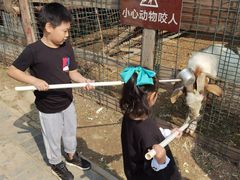 -呀路古热带植物园