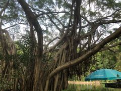 -人民公园(罗湖区)