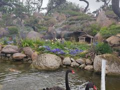 -罗红摄影艺术馆