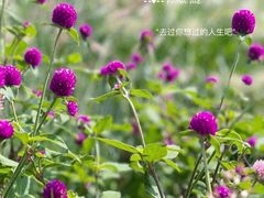 -中山公园